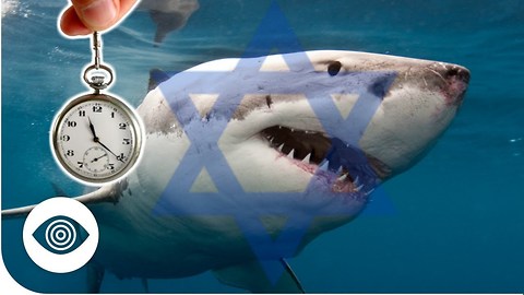 Does Israel Have Mind-Controlled Sharks?