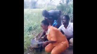 Crocodile attacks tourists