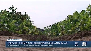 Local farmers having trouble finding, keeping farmland in Arizona