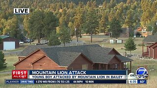Mountain lion attacks a young boy in Bailey