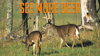 See More Deer This Season