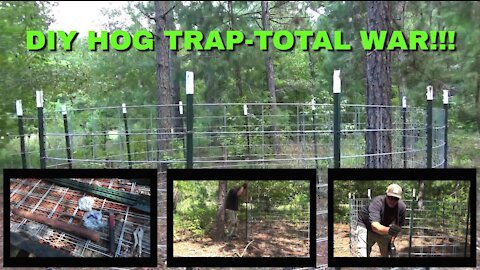DIY Hog Trap - TOTAL WAR!!!