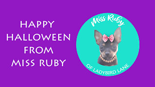 Happy Halloween from Miss Ruby