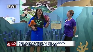 Children's Museum of Naples hosting special Wild Kratts ocean exhibit