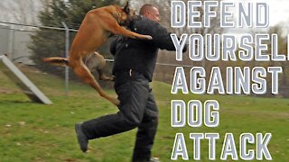 Tips on how to defend yourself against a dog attack