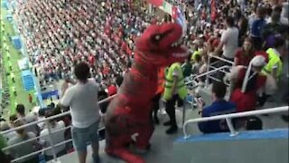 I tifosi della Svizzera lottano contro un dinosauro durante i Mondiali!