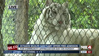 Octagon Wildlife Sanctuary holds community appreciation day Sunday
