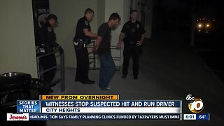 Hit-and-run driver stopped by witnesses