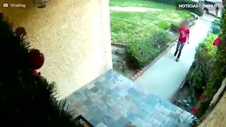 Menina rouba encomenda da entrada de uma casa