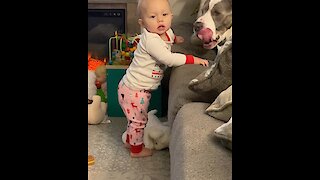 Sweet, gentle dog makes baby laugh