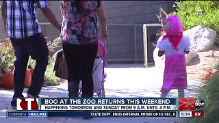 Boo at the Zoo Returns This Weekend