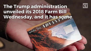 Trump Admin Says Work Is Necessary For Food Stamps
