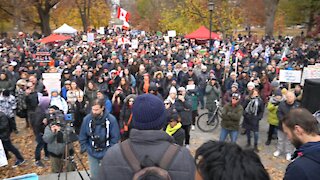 Full length Worldwide Freedom assembly Queens Park, Toronto, Canada 11/20/21