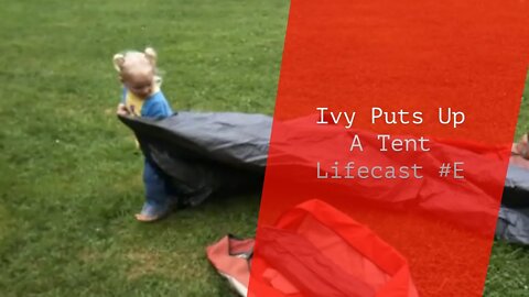 Ivy Puts Up A Tent | Lifecast #E