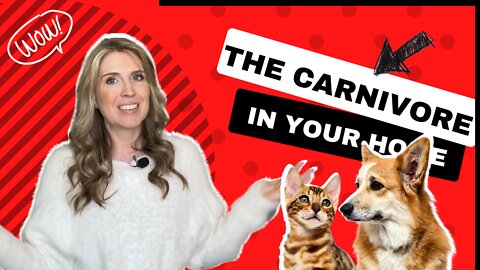 The Carnivore In Your Home