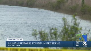 Human remains found near 'gator-infested' waters