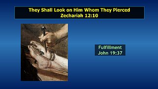 Video Bible Study: Zechariah - #17