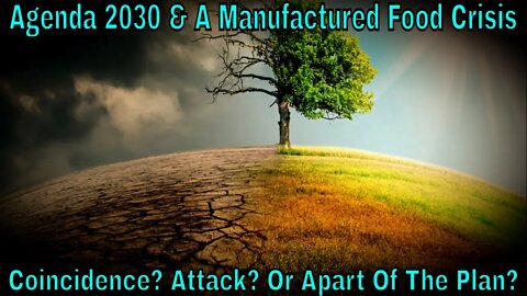 Agenda 2030 & A Manufactured Food Crisis: Coincidence? Attack? Or Apart Of The Plan?