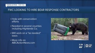 Apply to become an FWC bear response contractor in Highlands County