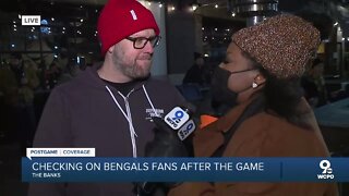 Checking in on Bengals fans after playoff win