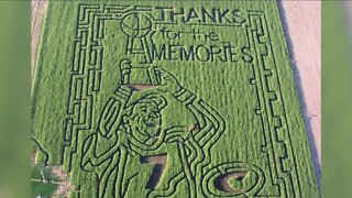 How many stalks of corn are in a corn maze? Find out at Fritzler Farm Park