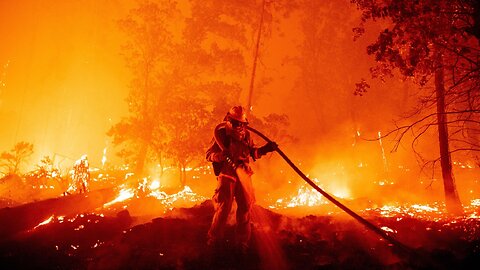 Do Wildfires Possess 'The Fingerprints Of Climate Change'?