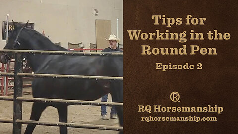 Tips for Working in the Round Pen: Episode 2