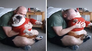 Big bulldog adorably cuddles with owner