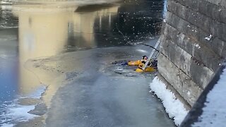 Dive teams in the Milwaukee River at Pleasant and Water