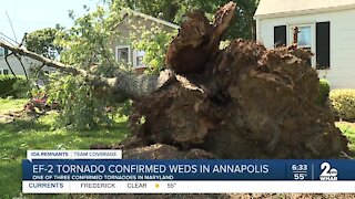 Businesses and property owners start massive cleanup after Annapolis storm