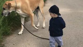 Adorable friendship between baby and huge dog