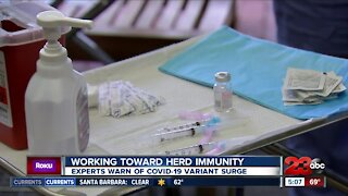 Working toward herd immunity, experts warn of COVID-19 variant surge