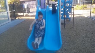 Puppy Loves to Play on the Slide