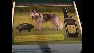 Waterproof and rechargeable F-Color Dog training Collar