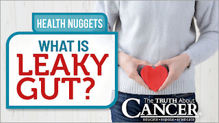 The Truth About Cancer Presents: Health Nuggets - What Is Leaky Gut?