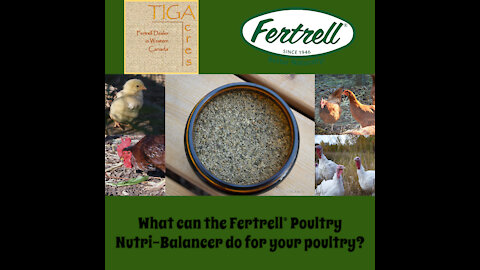 What can the Fertrell® Poultry Nutri-Balancer do for your poultry?