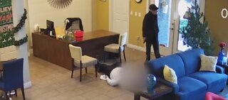 Vegas police release video footage of apartment shooting