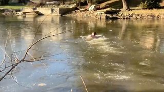 Daring Rescuer Dives Into Frozen Lake To Save Stranded Cat