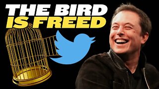 Elon Musk Buys Twitter and Fires Leadership