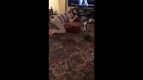 Cat Incredibly Consoles Boy With Special Needs During Meltdown