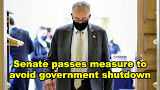 Senate passes measure to avoid government shutdown - Just the News Now