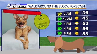 Walk around the block forecast: Nika 4-29-19
