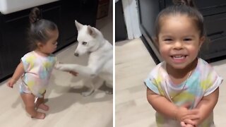 Little girl adorably trains her doggy to do tricks