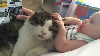 Baby Petting Her Cat ADORABLE