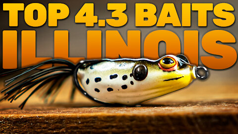 The Best Baits for Fishing in Illinois (TOP 4.3 PICKS!)