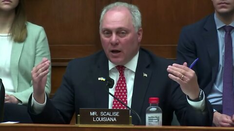 House Republican Whip Steve Scalise speaks at Energy and Commerce Subcommittee Hearing