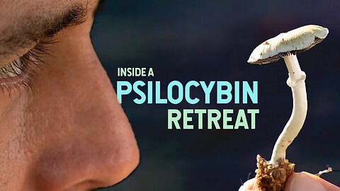 Inside a MAGIC MUSHROOM Retreat: A Special Inside Look From Start to Finish