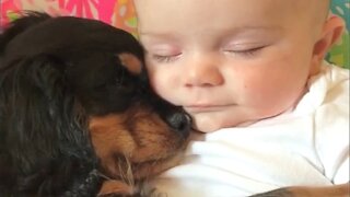 Cute Little Baby Sleeps Peacefully with Puppy
