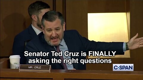 Senator Ted Cruz is FINALLY asking the right questions