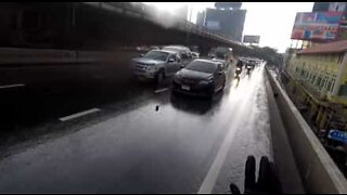Hero biker stops traffic to save kitten